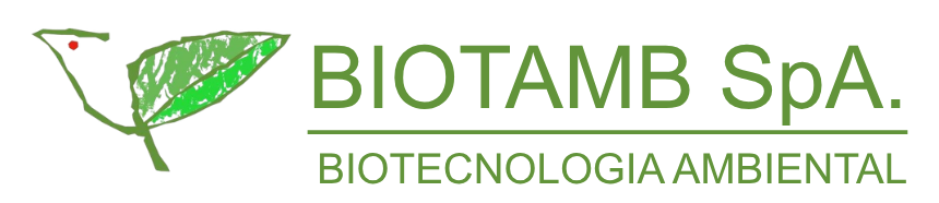 Biotamb